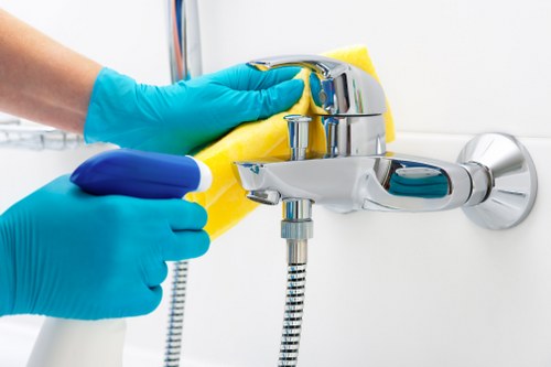 Cleaner arranging a professional cleaning appointment