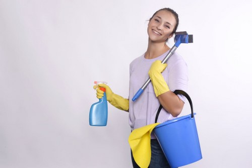 Professional cleaner working in a home interior
